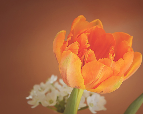 Klepsydra Zakład Pogrzebowy Grzegorz Sudomirski